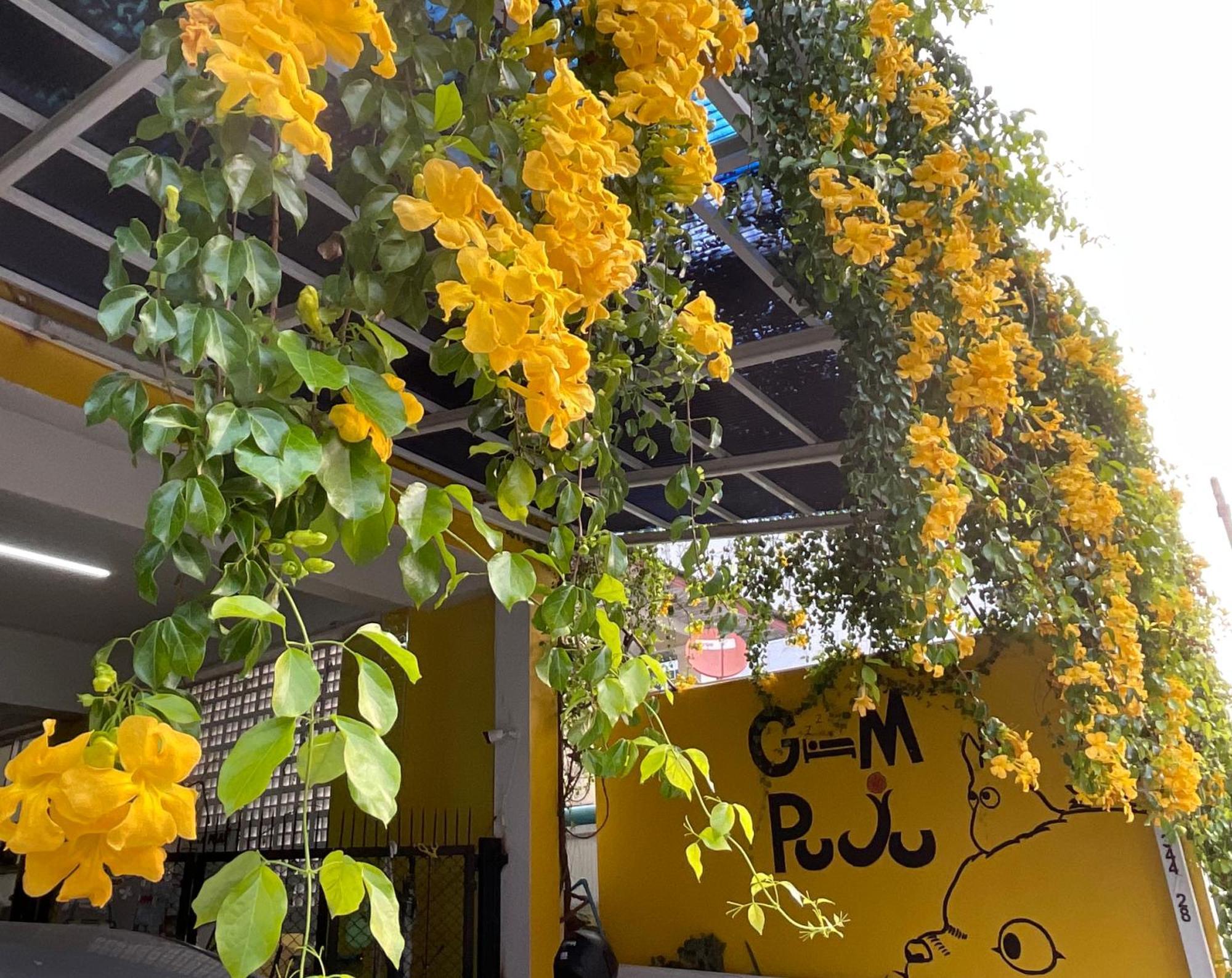 Gumpuju คำปู้จู้ Hotel Chiang Mai Ngoại thất bức ảnh